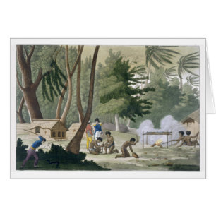 La tribu de Papu en la isla de Rawak, platea 20