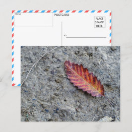 La última postal del sabio otoño