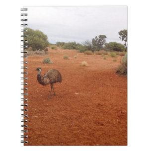 La UME australiana en el cuaderno de seguimiento