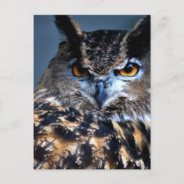 La una postal sabia (Anverso)