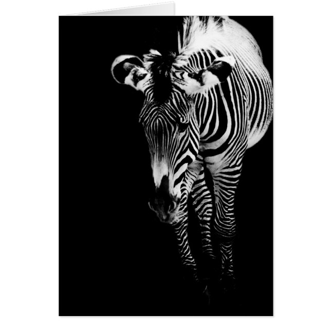 La única carta imperial (Frente)