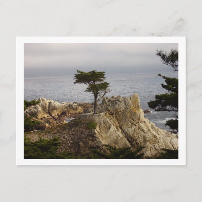 La única postal chipriota (Anverso)