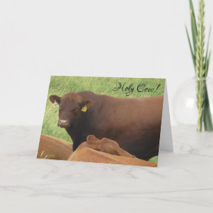 La vaca sagrada es tu tarjeta de cumpleaños