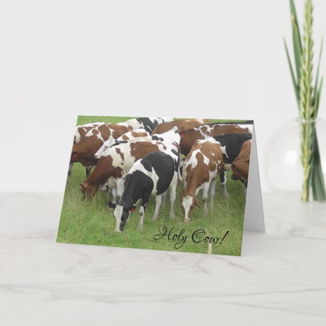 La vaca sagrada es tu tarjeta de cumpleaños (Anverso)