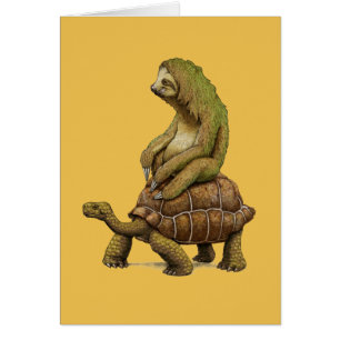 La velocidad es relativa