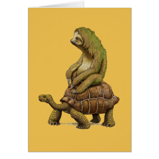 La velocidad es relativa