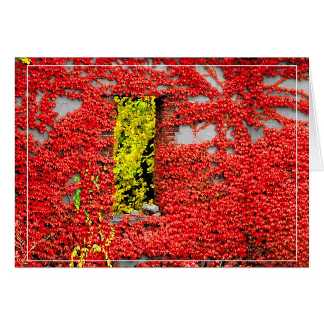 La ventana de Bannerman (Anverso (Horizontal))