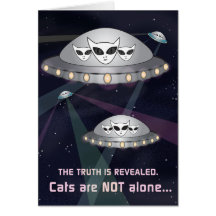 La Verdad Es Revelada: ¡Los Gatos No Están Solos!