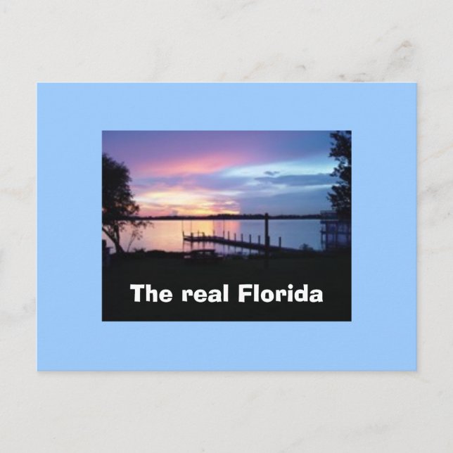 La verdadera postal de Florida (Anverso)