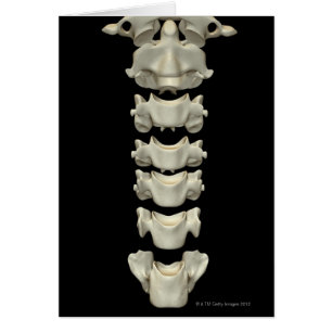 La vértebra cervical 7