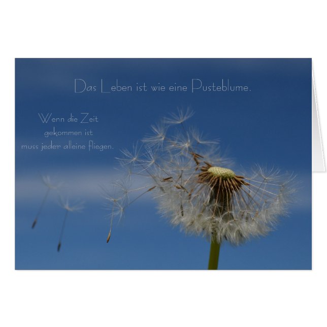 “la vida” by mysteryella (Anverso (Horizontal))