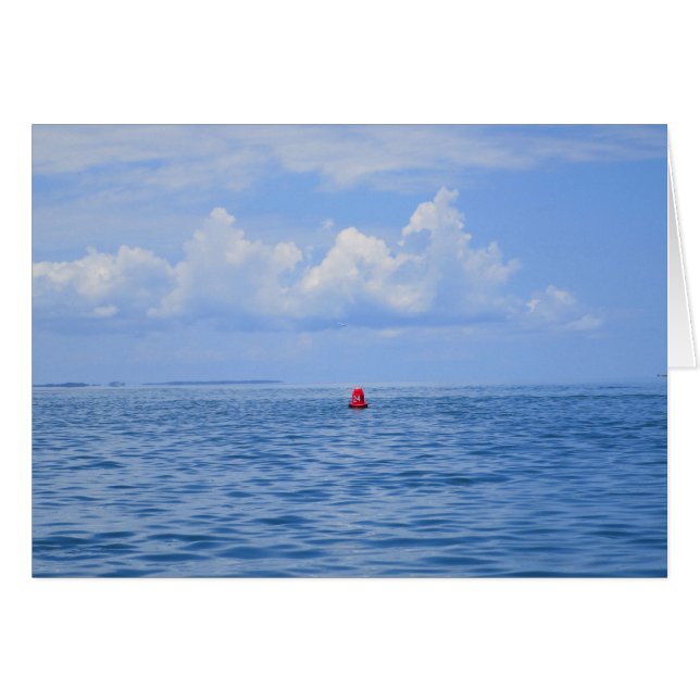 La vida de Buoy II (Anverso (Horizontal))