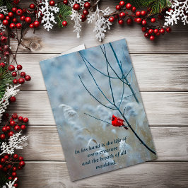 La vida de cada carta de criaturas cristianas Navi