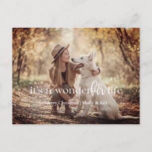 La vida de WonderFUR: Postales de Navidades Mascot