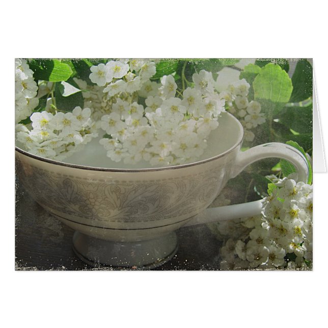 La vida del equipo (Anverso (Horizontal))