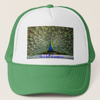 La vida del gorra del pavo real es llena de