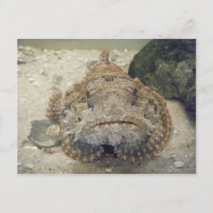 La vida en el mar de Alabama #3 postal