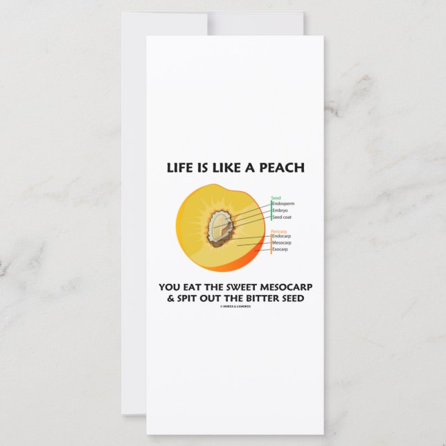 La Vida Es Como Un Peach Eat Sweet Mesocarp Spit O (Anverso)