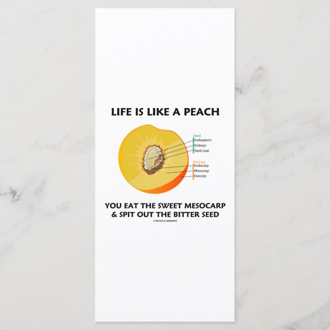 La Vida Es Como Un Peach Eat Sweet Mesocarp Spit O (Anverso)