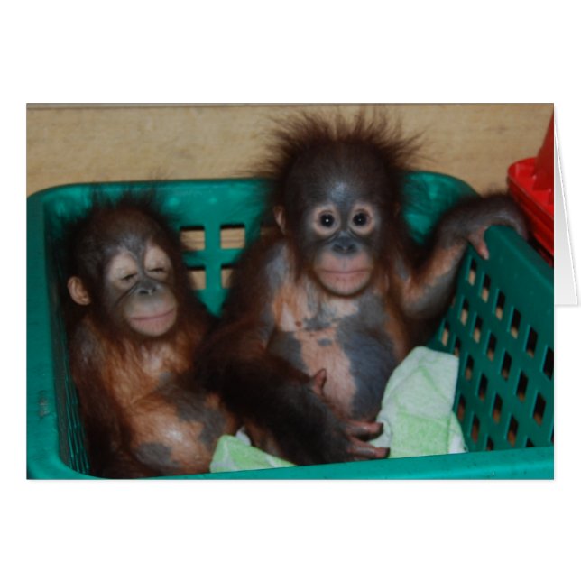 La vida es mejor cuando se comparte (Anverso (Horizontal))