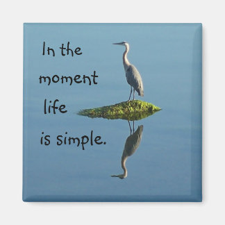 La vida es un imán simple