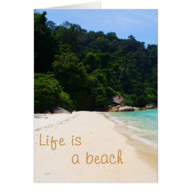 La vida es una playa (Frente)