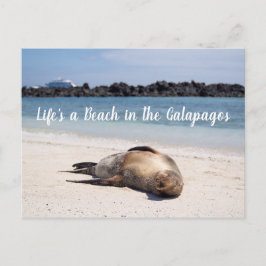 La vida es una playa en la postal de las Galápagos