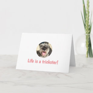La vida es una tarjeta de felicitación para los ti