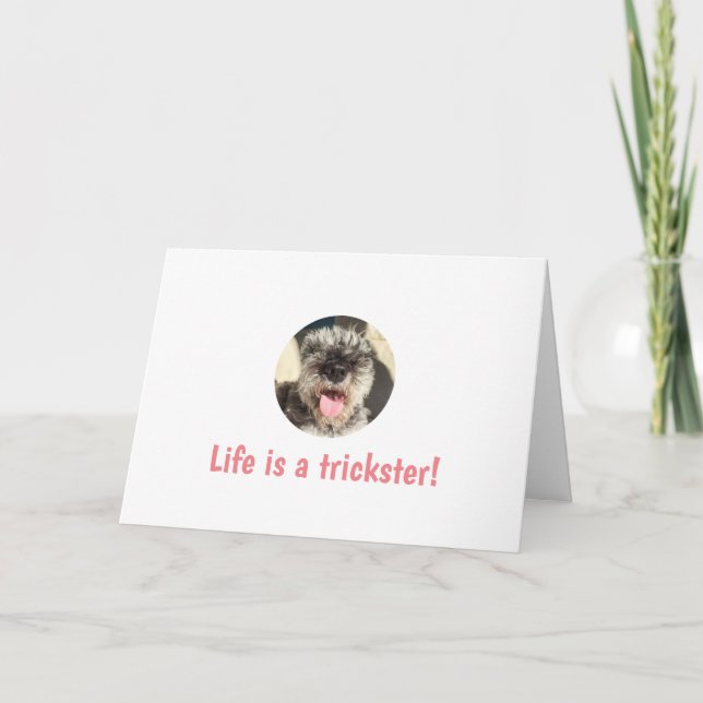 La vida es una tarjeta de felicitación para los ti (Anverso)