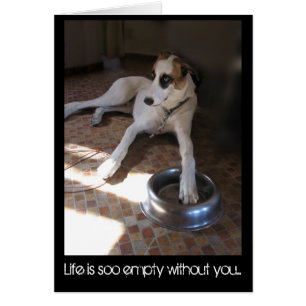 La vida está tan vacía sin ti