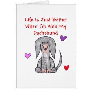 La vida negra del Dachshund es apenas una mejor