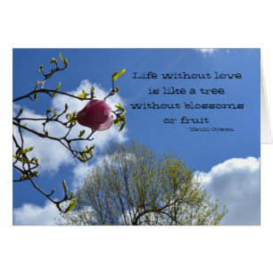 La vida sin amor está como