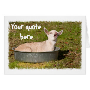 La visión de una cabra