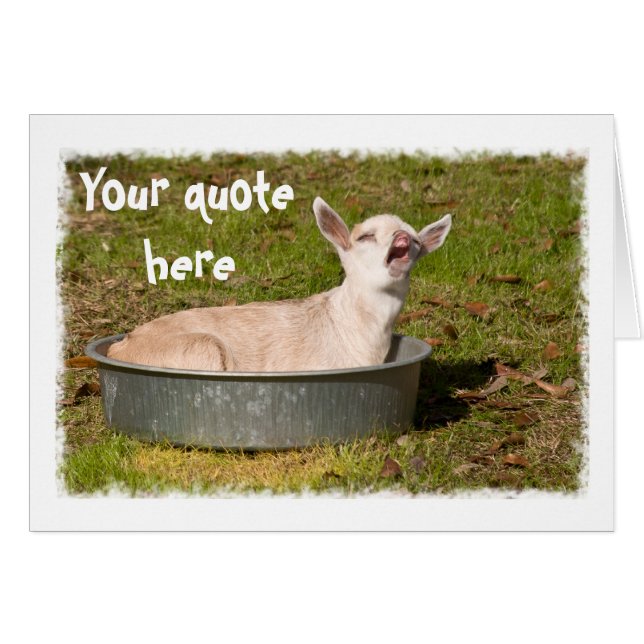 La visión de una cabra (Anverso (Horizontal))