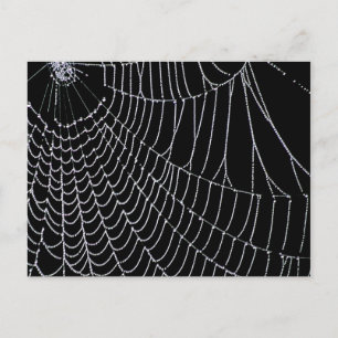 La web de Spider   Tarjeta postal
