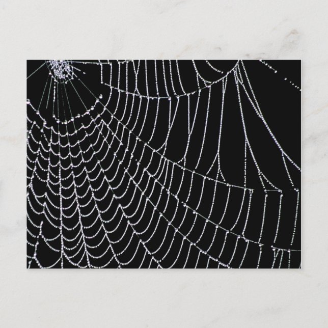 La web de Spider | Tarjeta postal (Anverso)