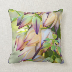 la yuca florece la almohada