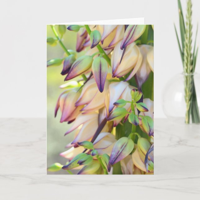 la yuca florece la tarjeta de felicitación (Anverso)