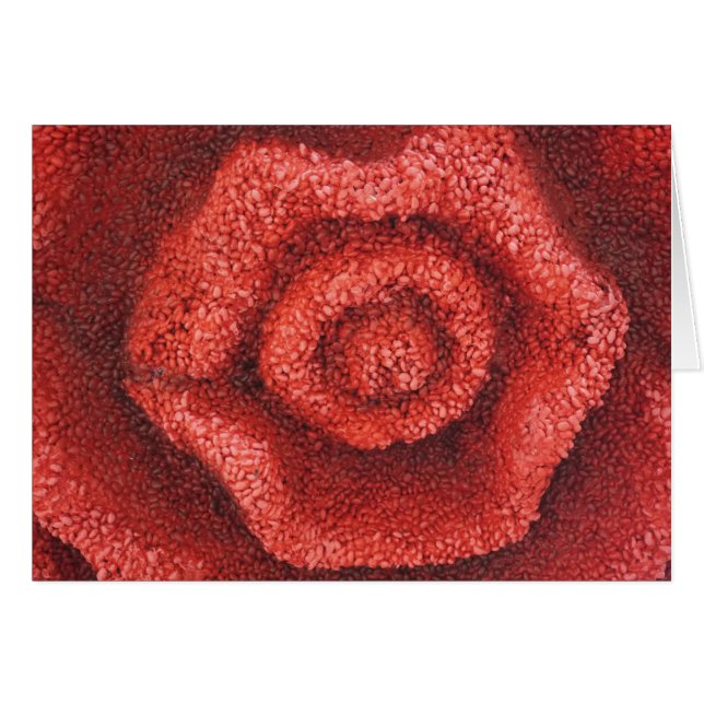 Labios florales (Anverso (Horizontal))