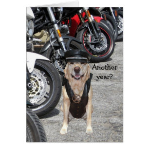 Laboratorio adaptable del motorista