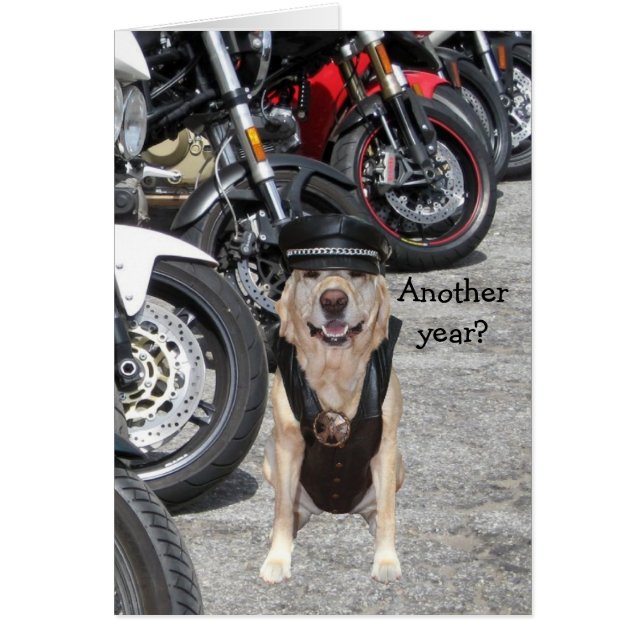 Laboratorio adaptable del motorista (Frente)