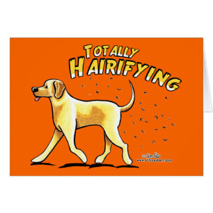 Laboratorio amarillo totalmente Hairifying
