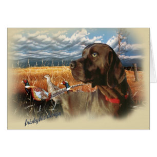 Laboratorio del chocolate una caza del día