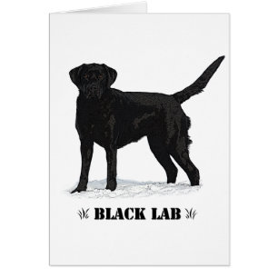 Laboratorio negro