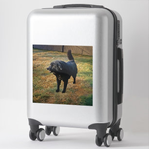 Laboratorio Negro En El Pegatina De Vinilo Cortado