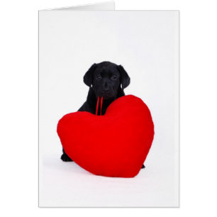 Laboratorio negro y corazón