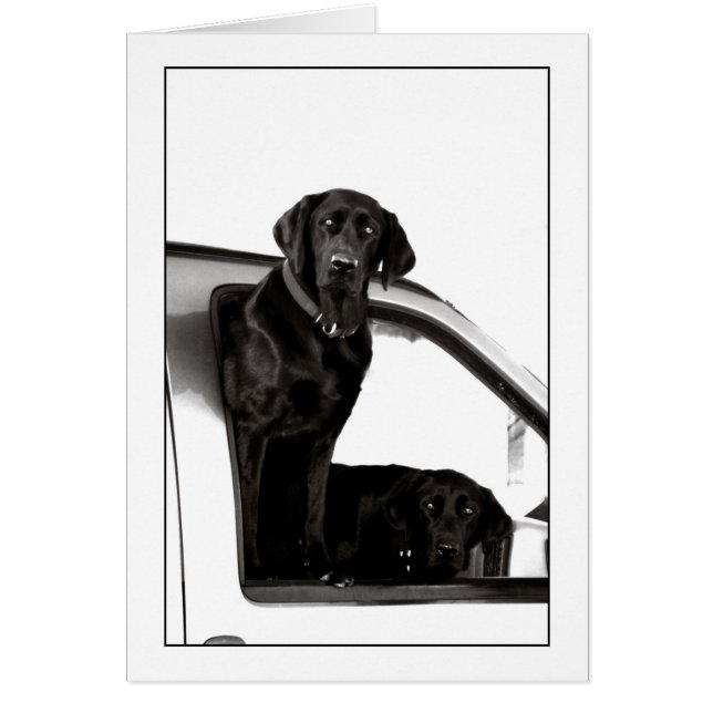 Laboratorios negros curiosos (Frente)