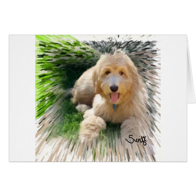 Labradoodle Goldendoodle (Anverso (Horizontal))