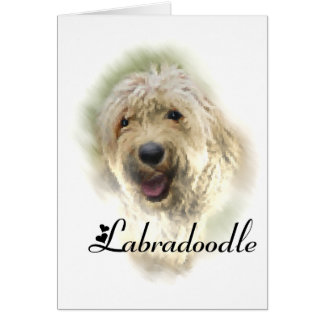 Labradoodle Lovers Regalos