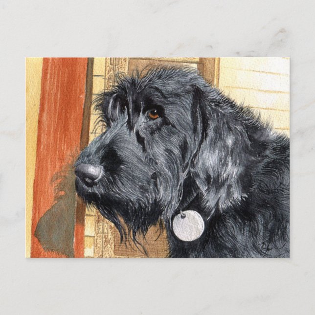 Labradoodle negro #1 postal (Anverso)